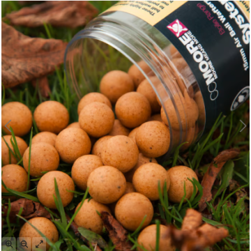 Live System Hard Hookbaits 24mm (15) - 1 pot