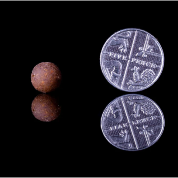 The Bug 5kg Freezer Bait 8mm