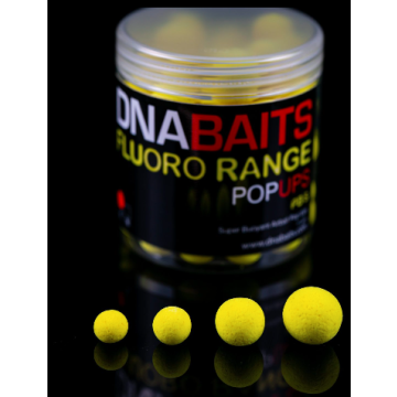 PB's Pop Ups 18mm