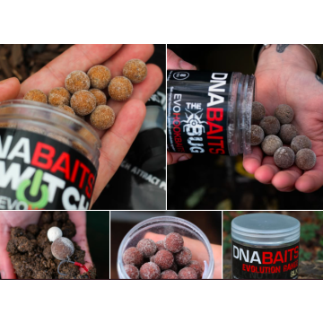 EVO CURED HOOKBAITS (35 BAITS) Pot 18mm SECRET7