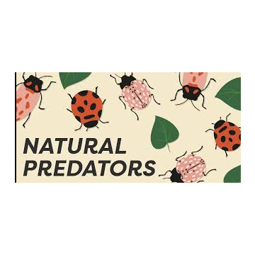 Natural Predator