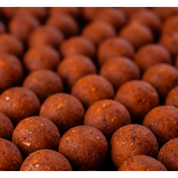 Secret 7 1kg Freezer Bait 15mm